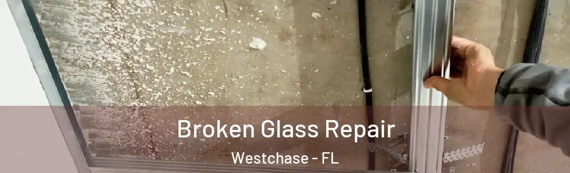  Broken Glass Repair Westchase - FL