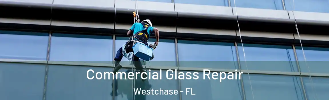 Commercial Glass Repair Westchase - FL