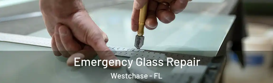 Emergency Glass Repair Westchase - FL
