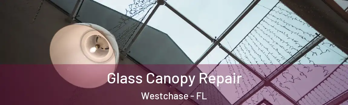  Glass Canopy Repair Westchase - FL