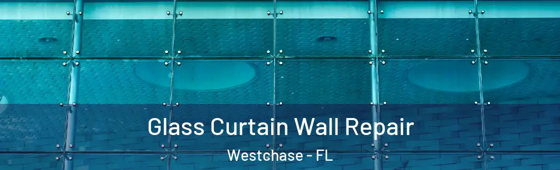 Glass Curtain Wall Repair Westchase - FL