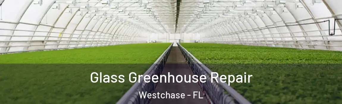 Glass Greenhouse Repair Westchase - FL
