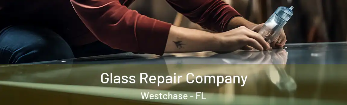 Glass Repair Company Westchase - FL