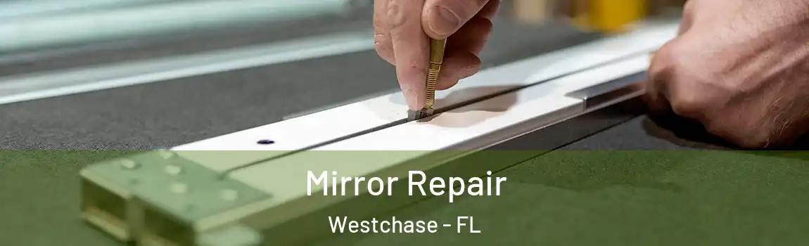  Mirror Repair Westchase - FL