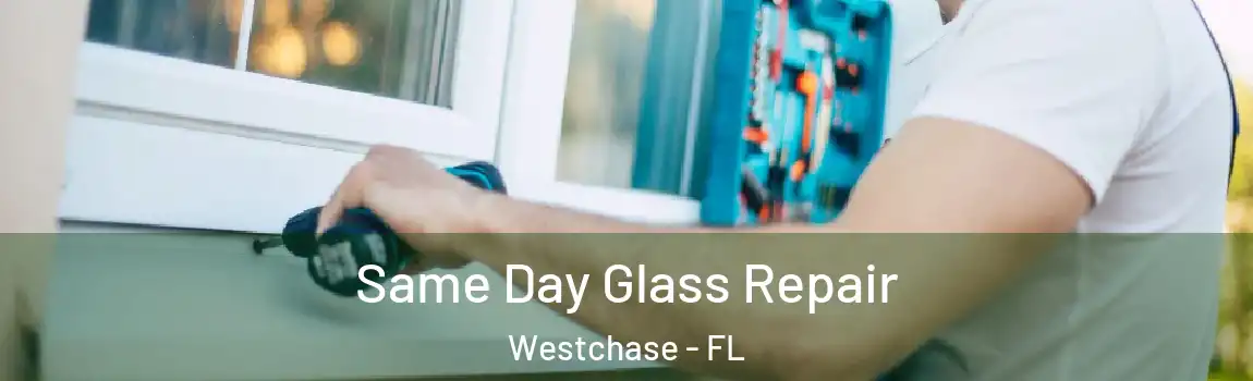 Same Day Glass Repair Westchase - FL