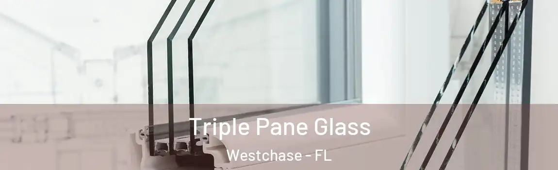  Triple Pane Glass Westchase - FL