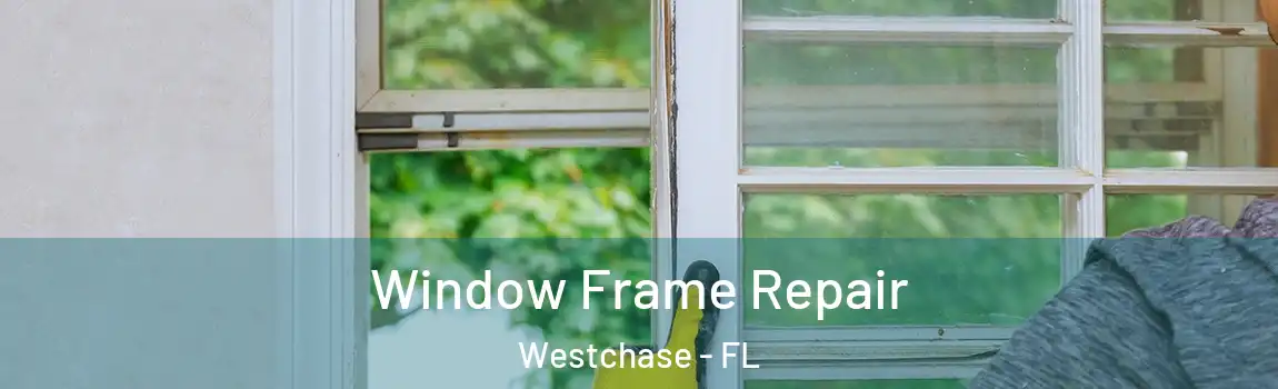 Window Frame Repair Westchase - FL