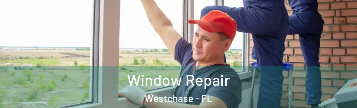  Window Repair Westchase - FL